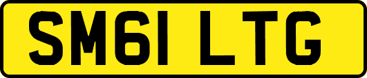 SM61LTG