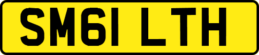 SM61LTH