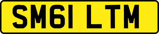 SM61LTM