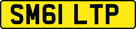 SM61LTP