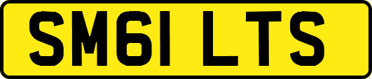 SM61LTS