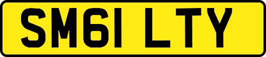 SM61LTY