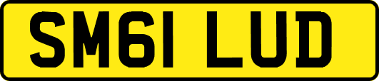 SM61LUD