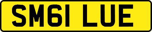 SM61LUE
