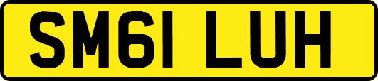 SM61LUH