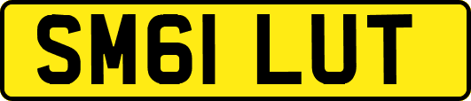 SM61LUT