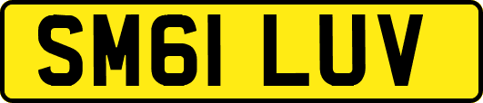 SM61LUV