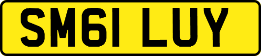 SM61LUY