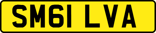 SM61LVA