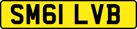 SM61LVB