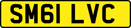SM61LVC