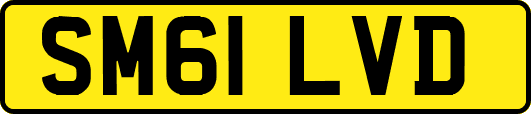 SM61LVD