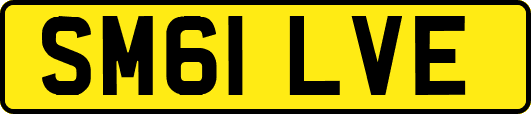 SM61LVE
