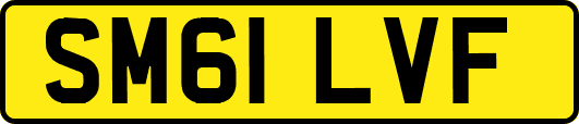 SM61LVF