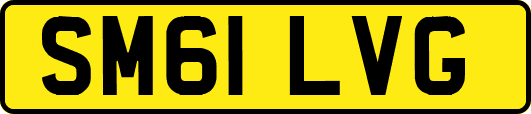 SM61LVG
