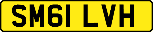 SM61LVH
