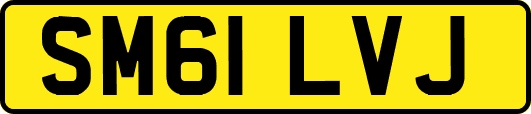 SM61LVJ