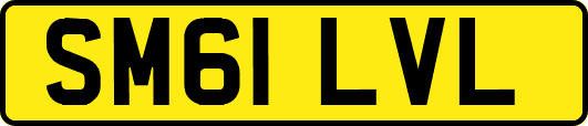 SM61LVL