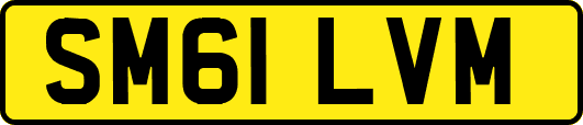 SM61LVM