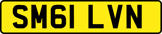 SM61LVN