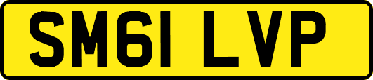 SM61LVP