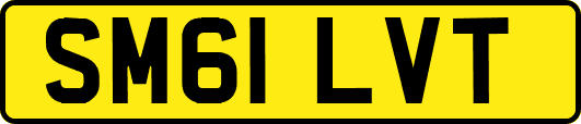 SM61LVT