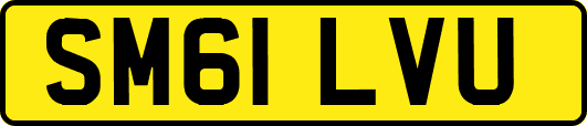 SM61LVU