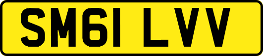 SM61LVV