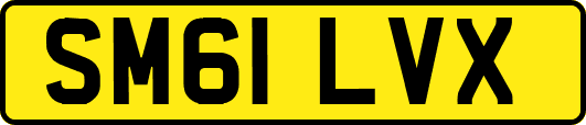 SM61LVX