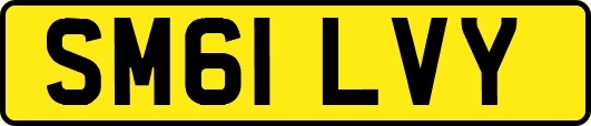 SM61LVY