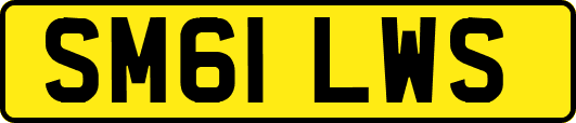 SM61LWS