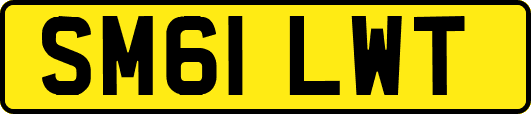 SM61LWT