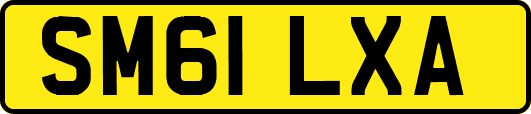 SM61LXA