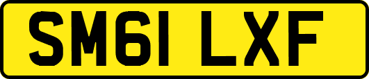 SM61LXF