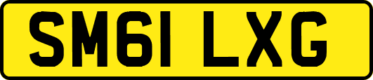 SM61LXG