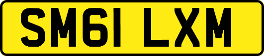 SM61LXM
