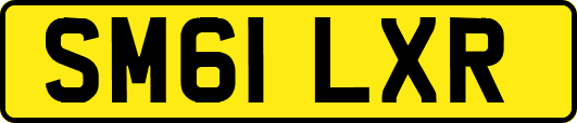 SM61LXR