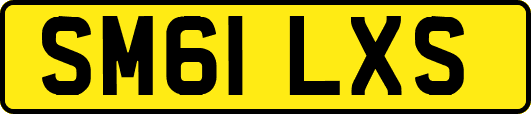 SM61LXS