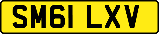 SM61LXV