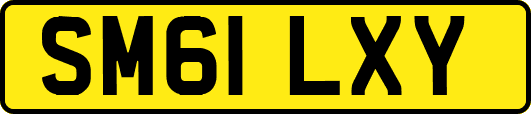 SM61LXY