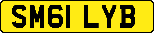 SM61LYB
