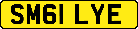SM61LYE