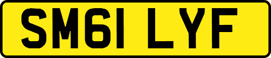 SM61LYF