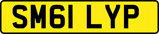 SM61LYP