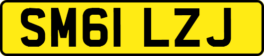 SM61LZJ