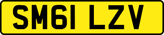 SM61LZV