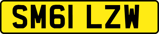 SM61LZW