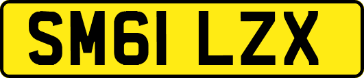 SM61LZX