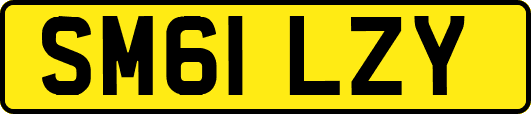 SM61LZY