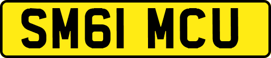 SM61MCU
